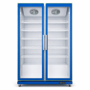 Export Vertical Display Case